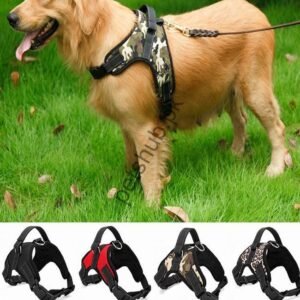 Buy Dog Harnesses Leashes Online in Pakistan Up to 50 Off