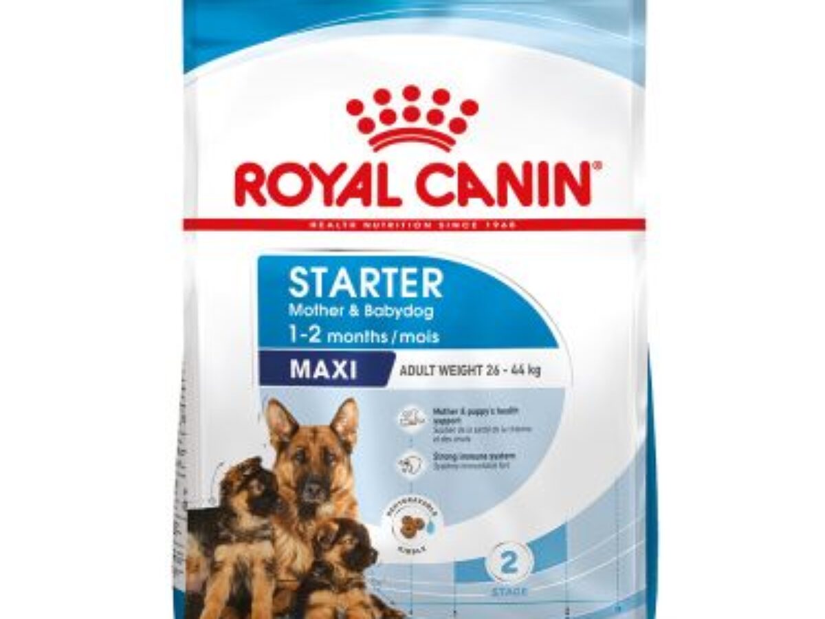 Royal canin maxi deals starter 4kg lowest price