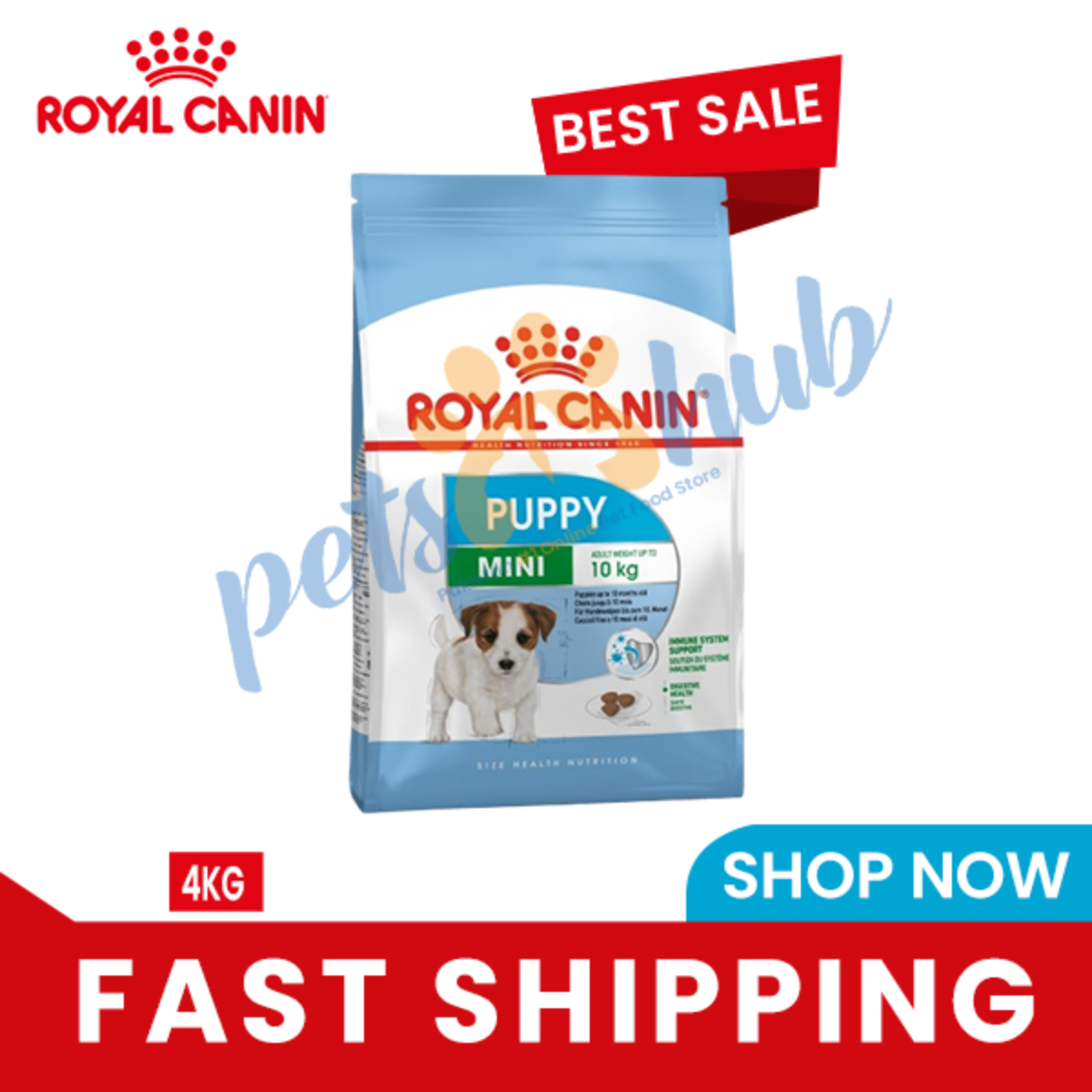 Mini royal canin best sale