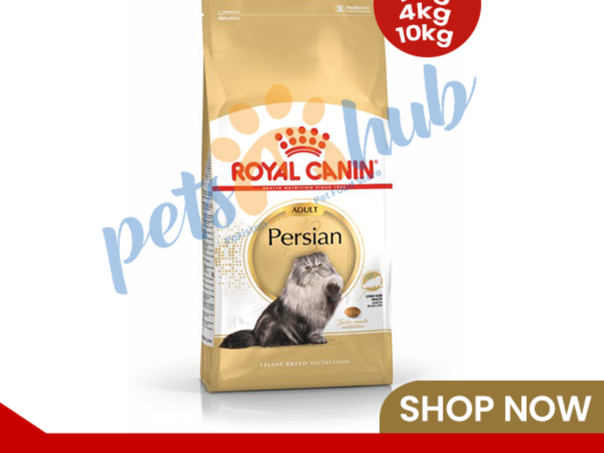 Persian cat outlet food royal canin