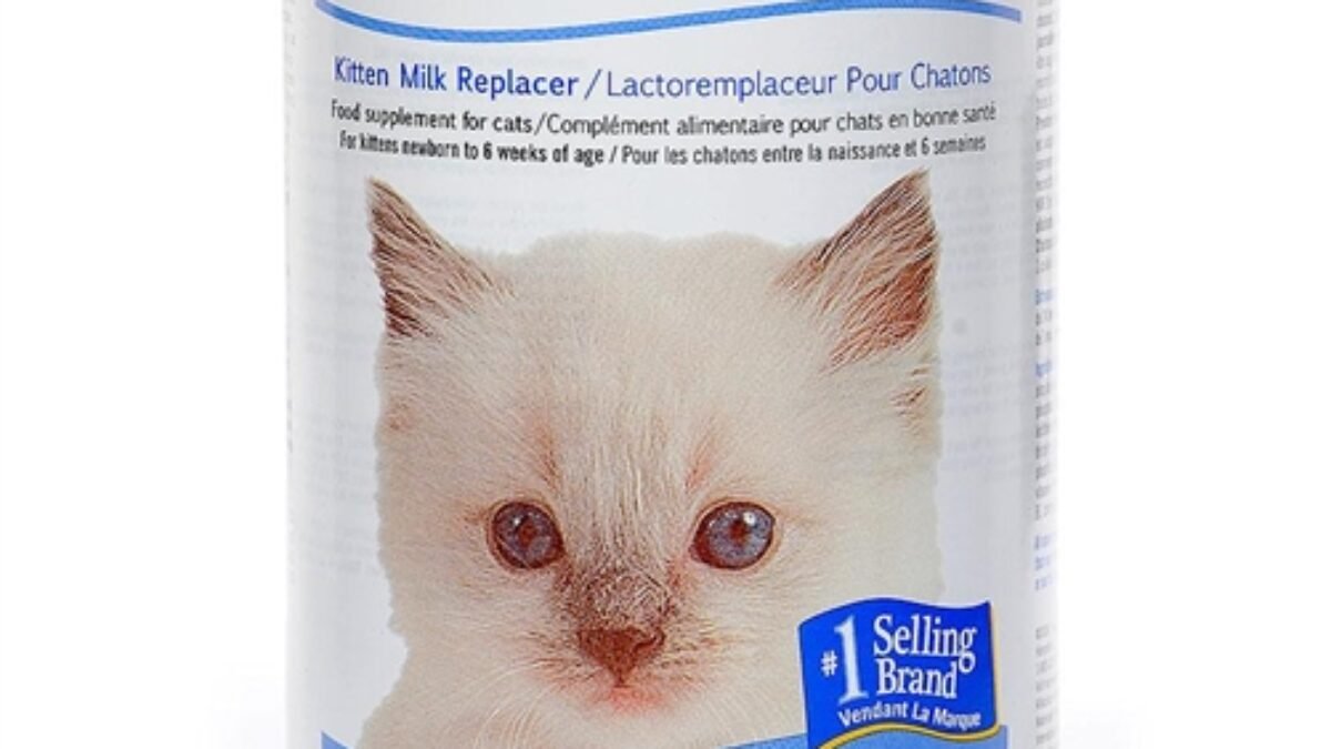 KMR Kitten Milk Replacer Powder 170 Gram in Pakistan Petshub.pk