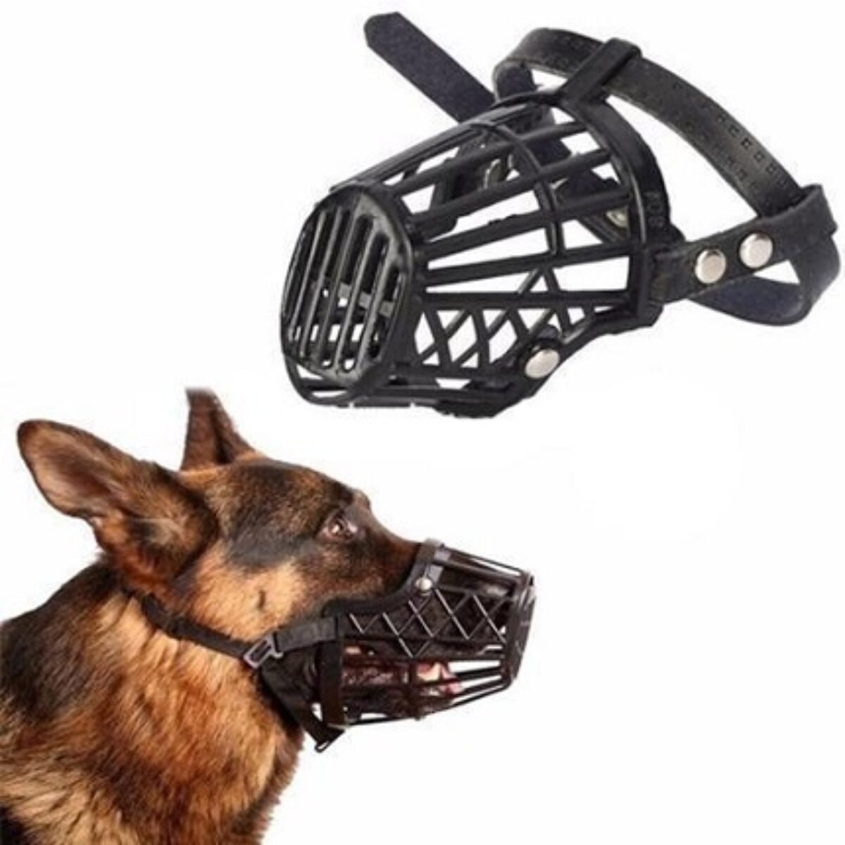 Buy Plastic Muzzle For Dogs at Best Price Imported Petshub.pk