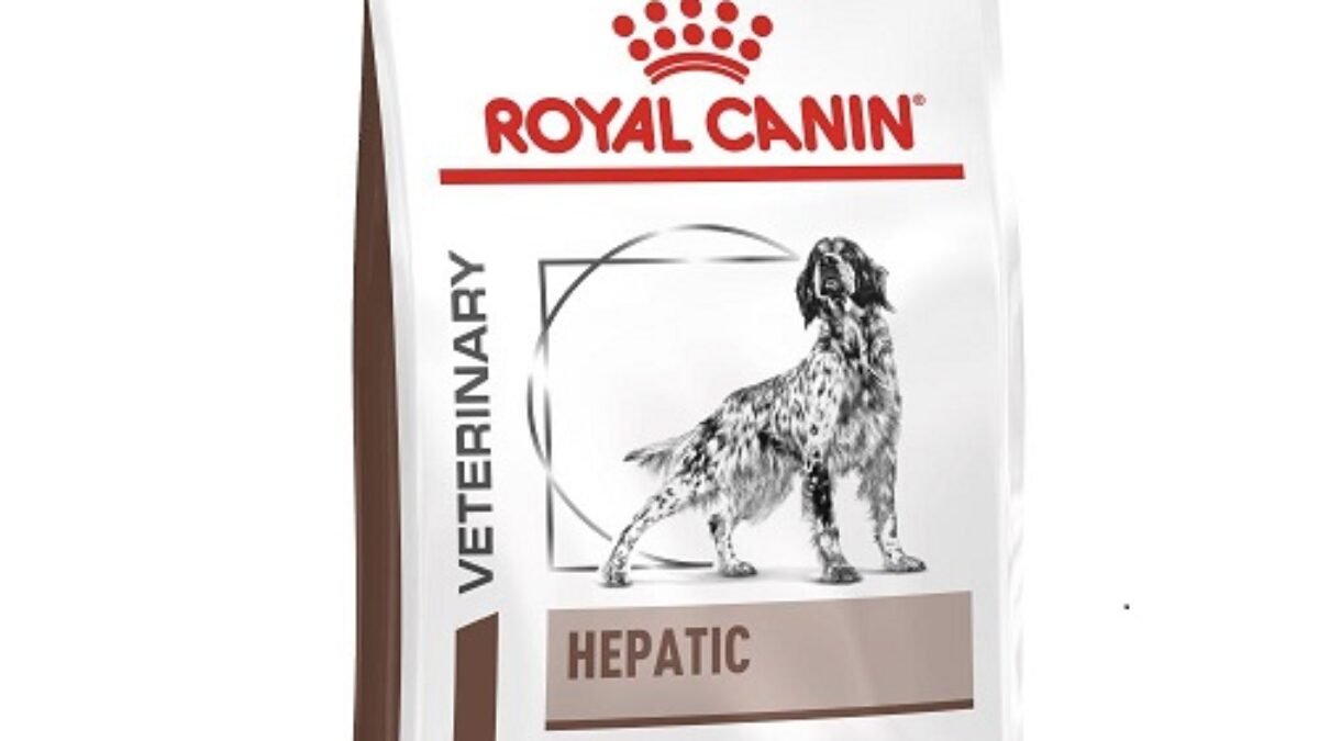 Hepatic royal canin outlet dog