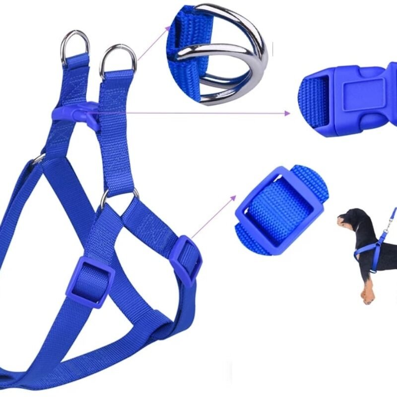 Dog Nylon Body Harness With Leash Strap Belt Petshub.pk