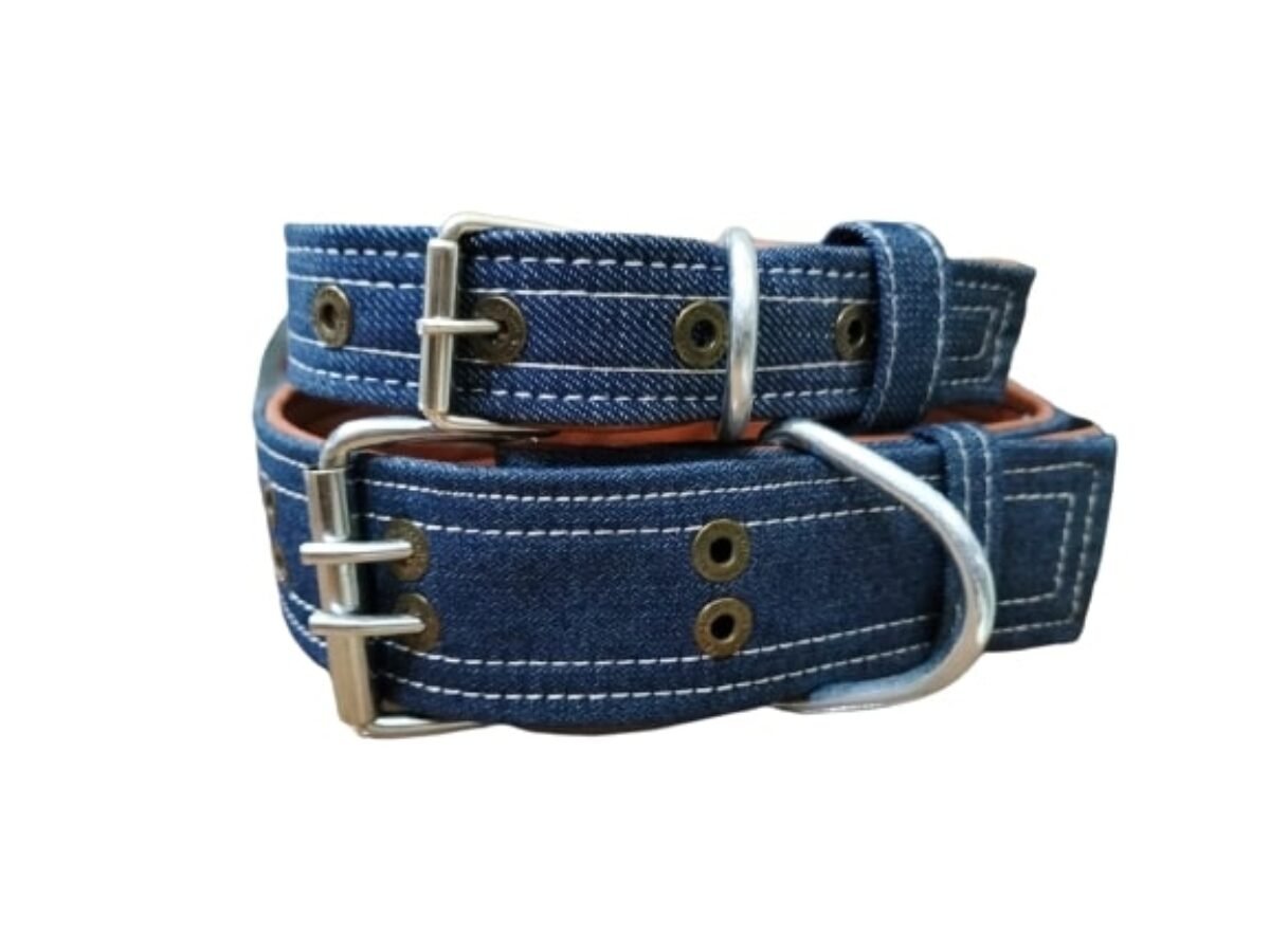 Dog Jeans Collar at Best Price in Pakistan Up to 50 Off