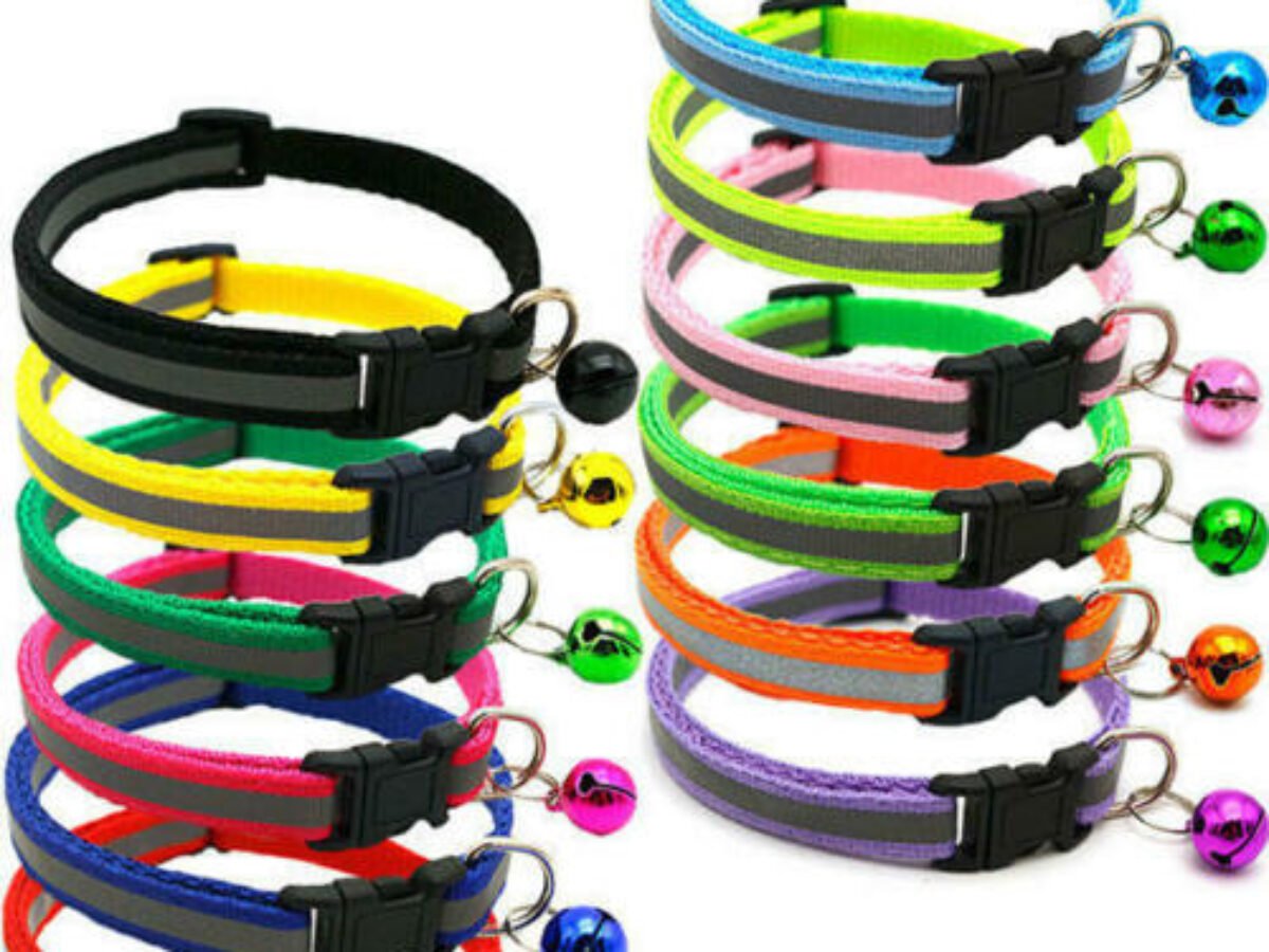 Little dog collars best sale