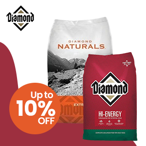 Diamond Dog Food Online In Pakistan - Up To 50% Off