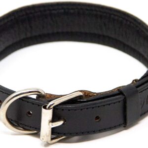 Dog Leather Collar