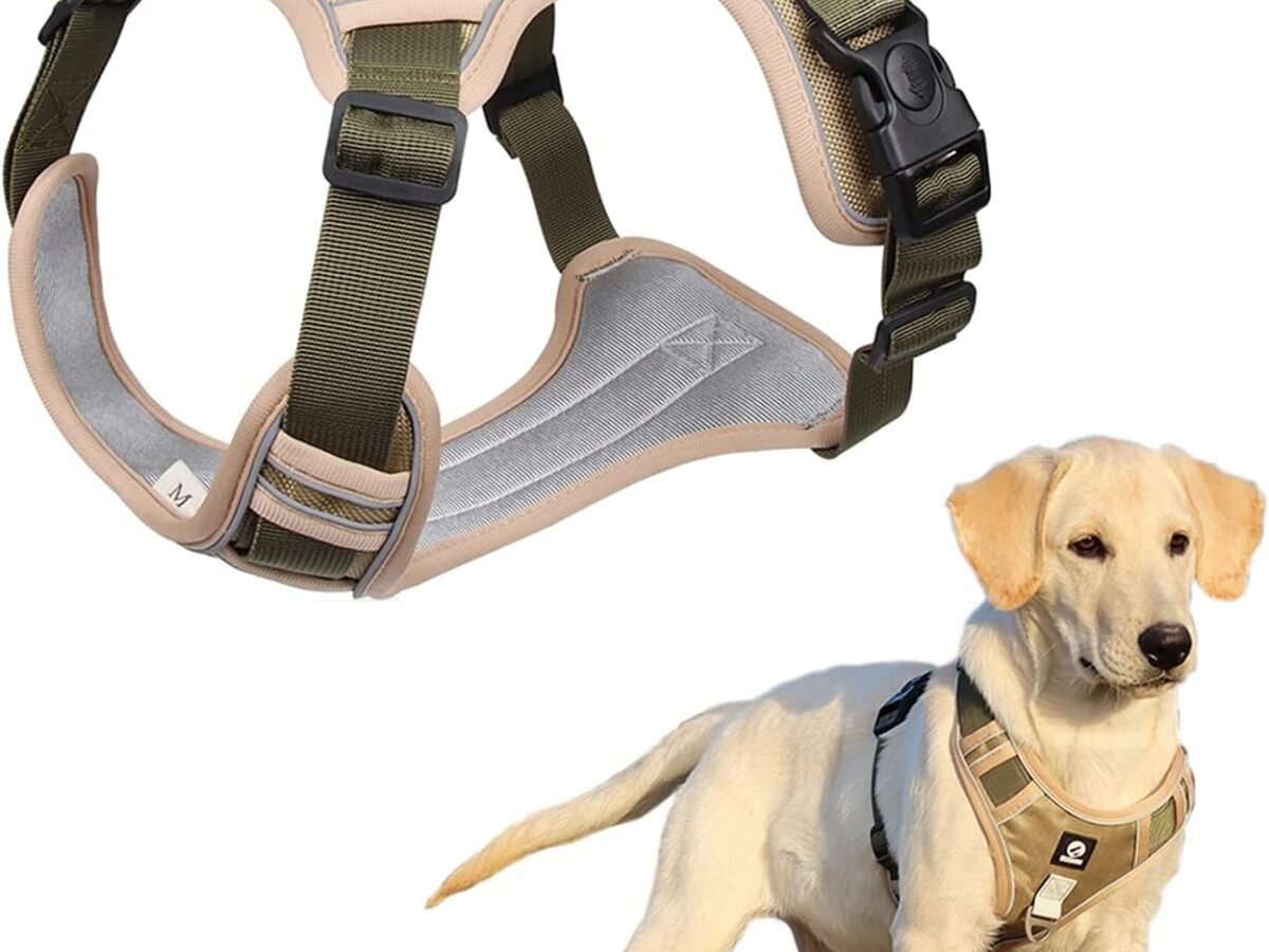 Full body dog harness hotsell