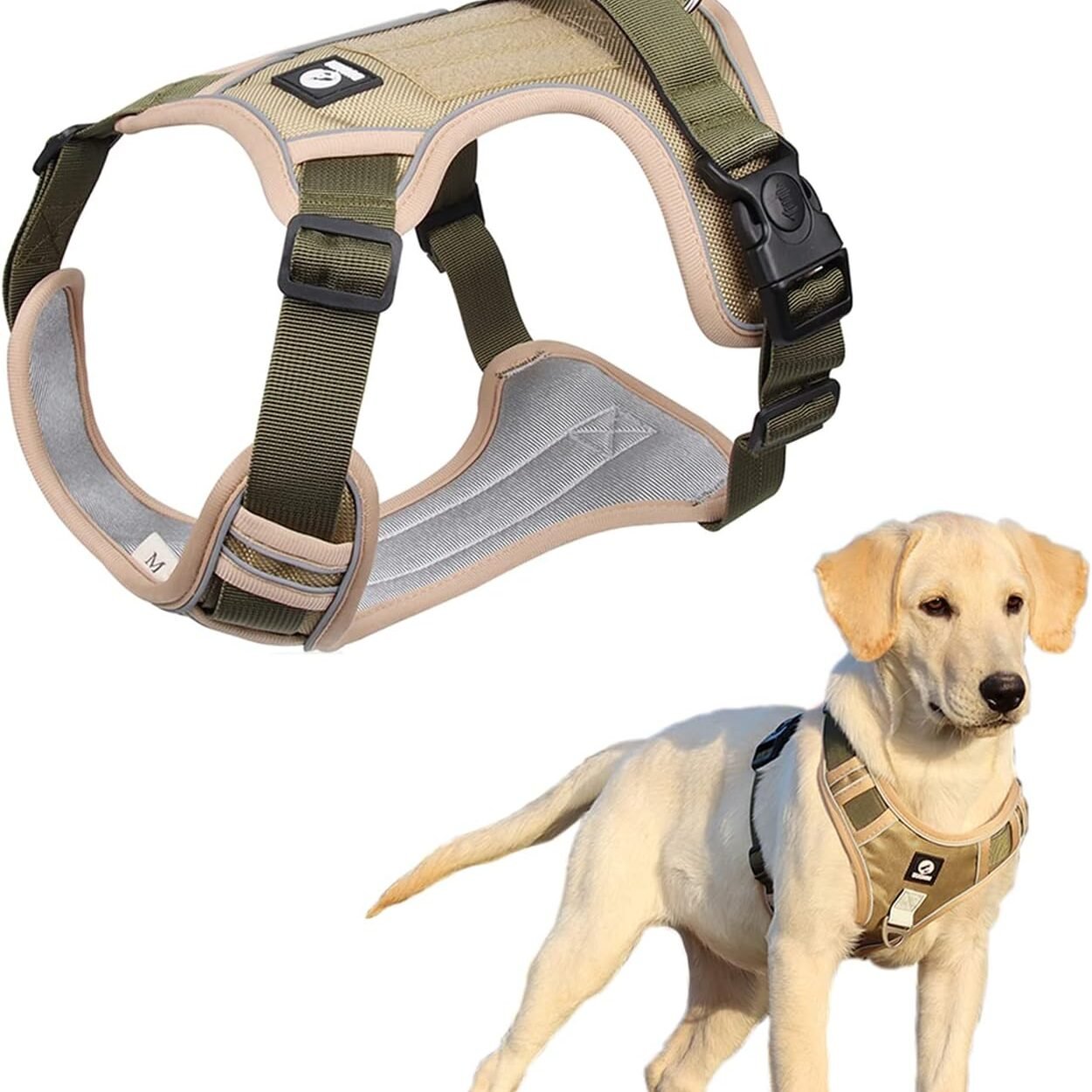 Full body collar for dogs hotsell