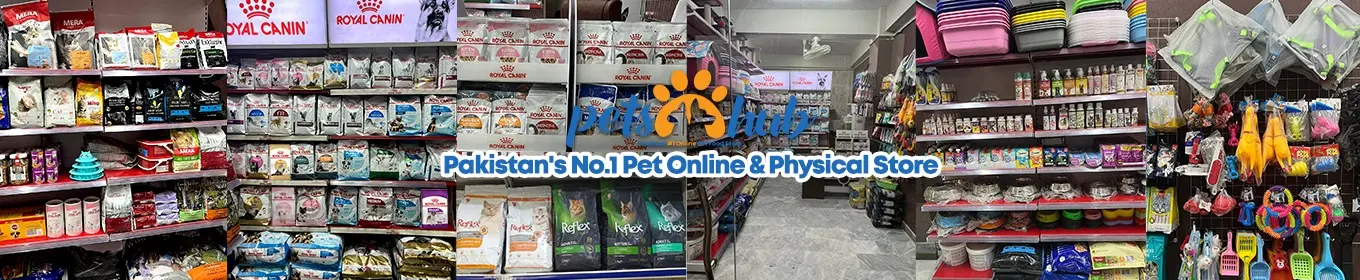 Best Online Pet Store in Pakistan Buy Pet Food Accessories